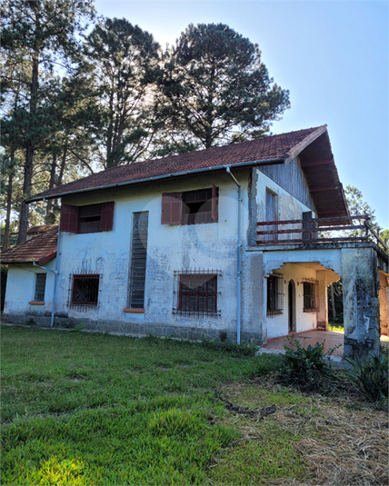 Foto REO1099946