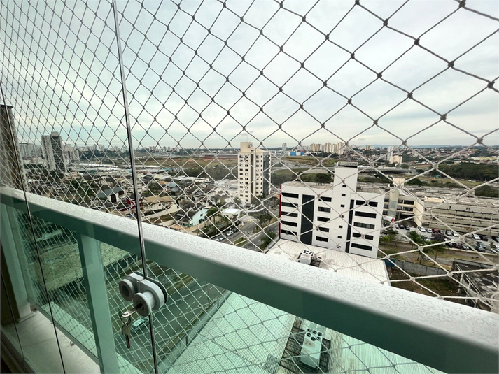 Foto REO1099947