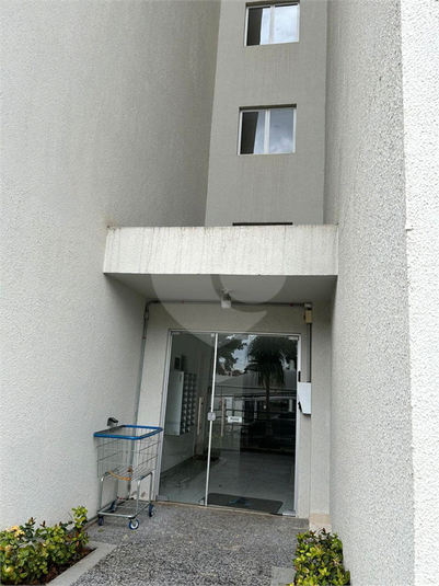 Foto REO1099948