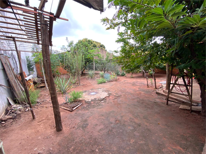 Foto REO1099952