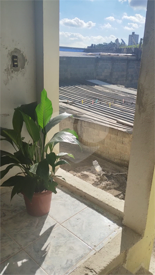 Foto REO1099958