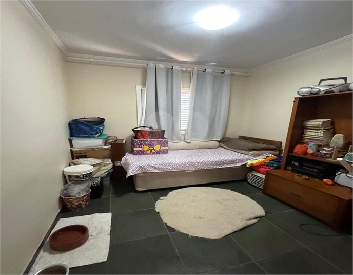 Foto REO1099961