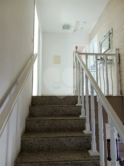 Foto REO1099965