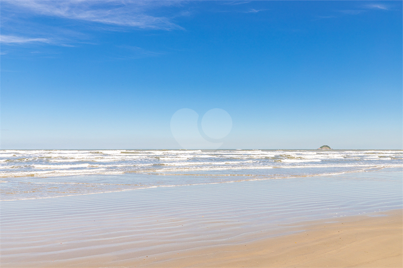 Foto REO1099966