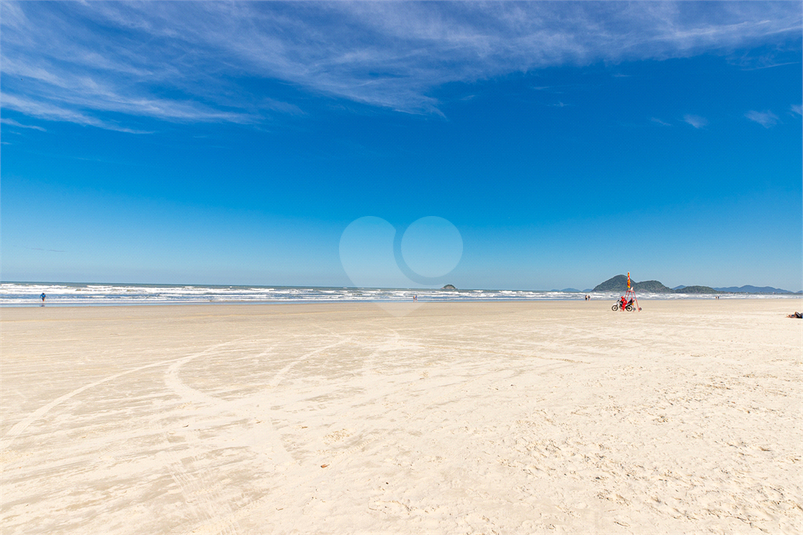 Foto REO1099966