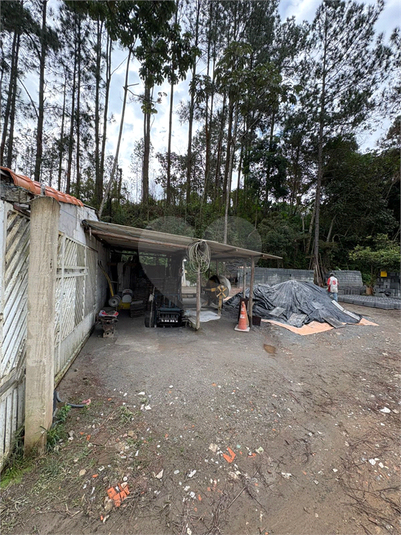 Foto REO1099975