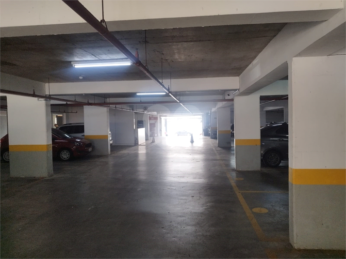 Foto REO1099992