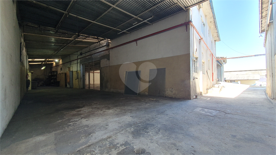 Foto REO1100048