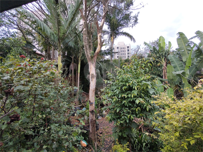 Foto REO1100062