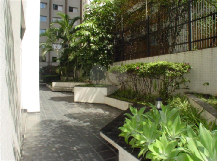 Foto REO1100155
