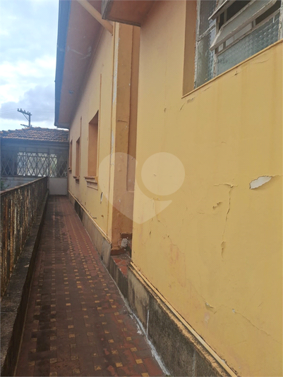 Foto REO1100214