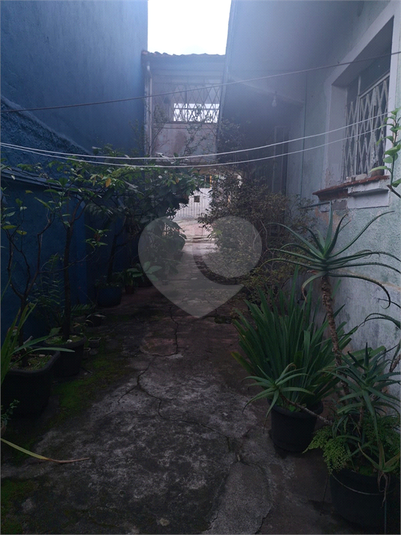 Foto REO1100214