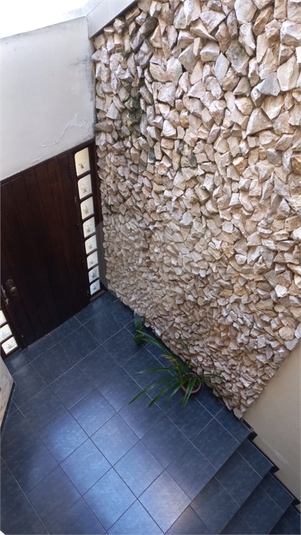 Foto REO1100383