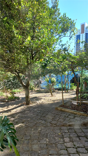 Foto REO1100383