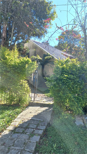 Foto REO1100383