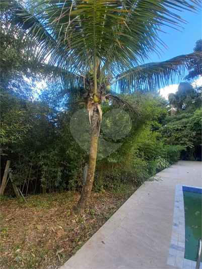 Foto REO1100438