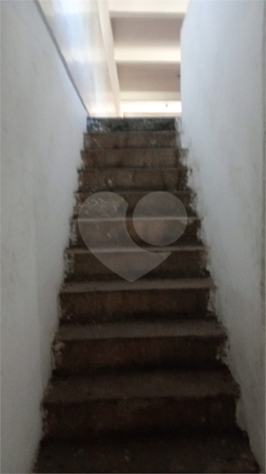 Foto REO1100466