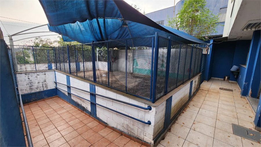 Foto REO1100556