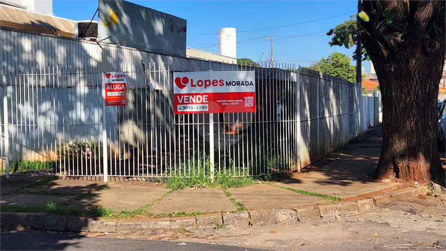 Foto REO1100574