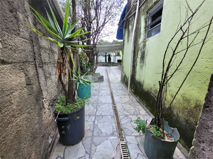 Foto REO1100690
