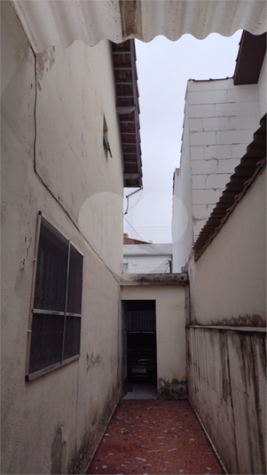 Foto REO1100734