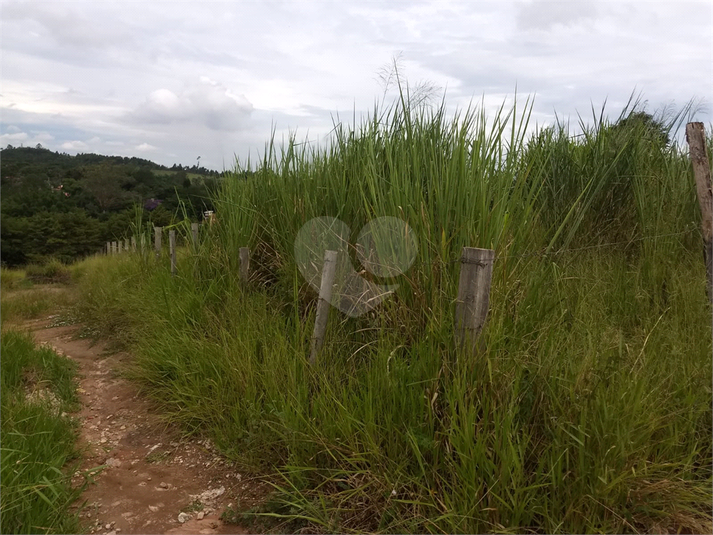 Foto REO1100745