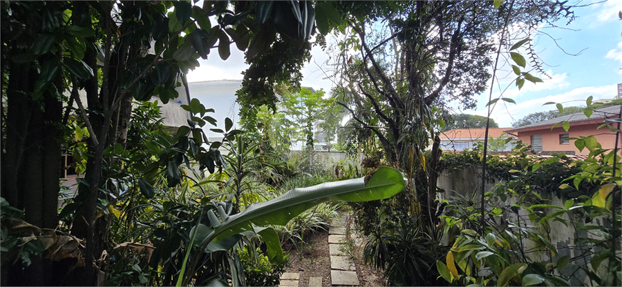 Foto REO1100752