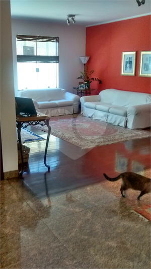 Foto REO1100757