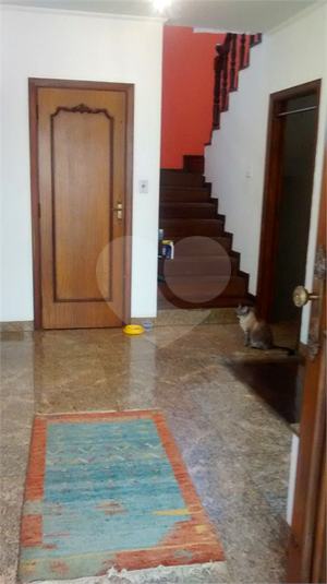 Foto REO1100757