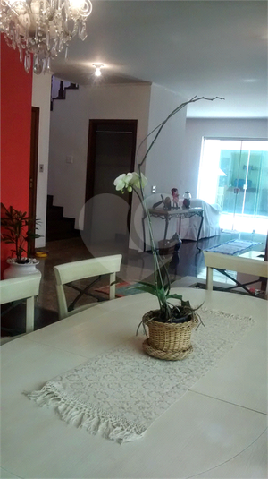 Foto REO1100757