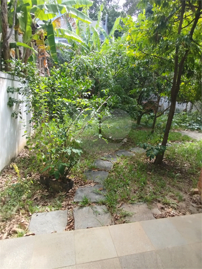 Foto REO1100782