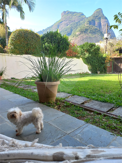 Foto REO1100782