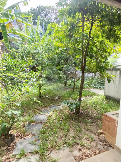Foto REO1100782