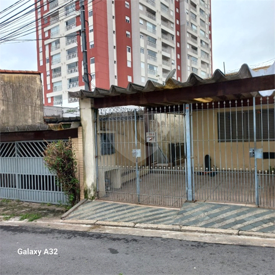 Foto REO1100787
