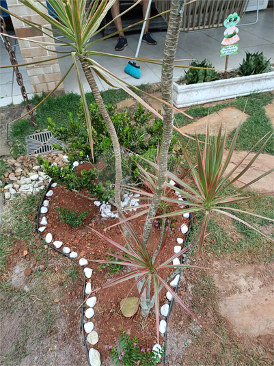Foto REO1100788