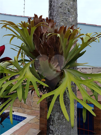 Foto REO1100788