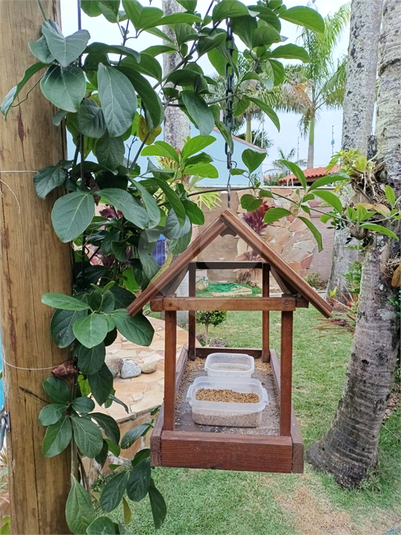 Foto REO1100788