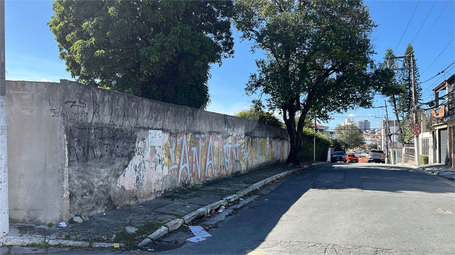 Foto REO1100796