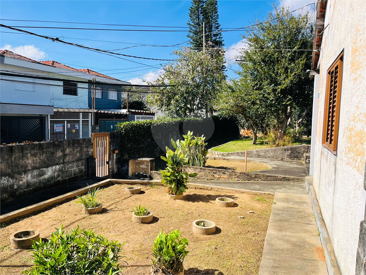 Foto REO1100796