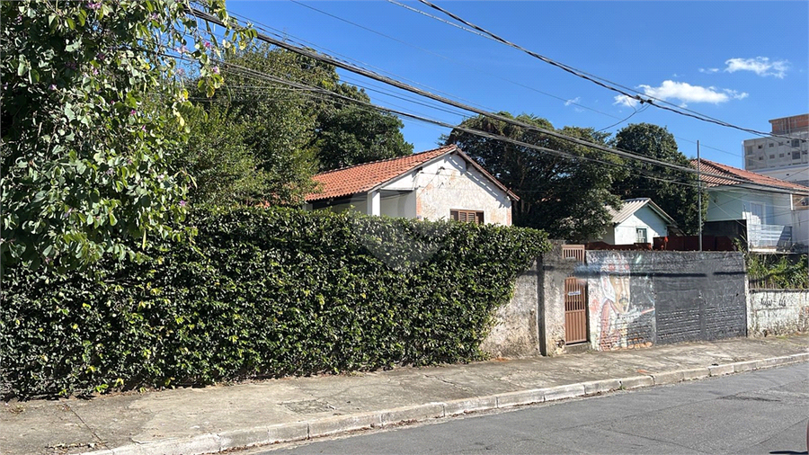 Foto REO1100796