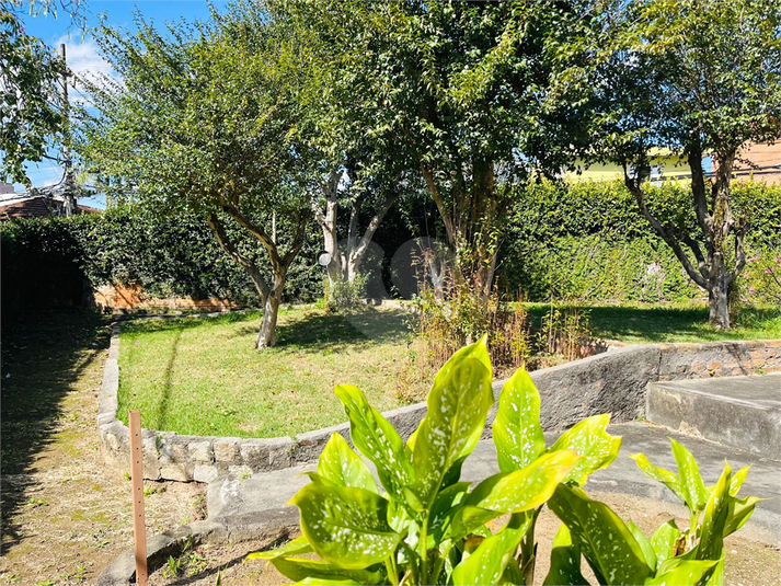 Foto REO1100796