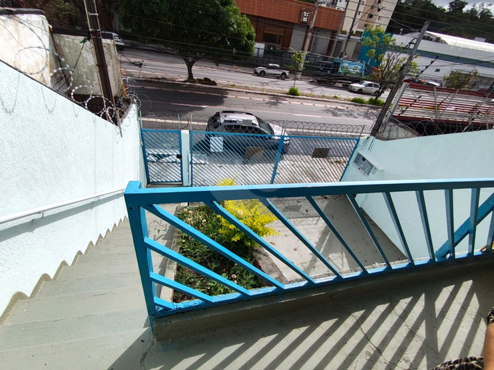 Foto REO1100817