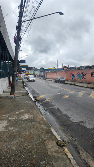 Foto REO1100836