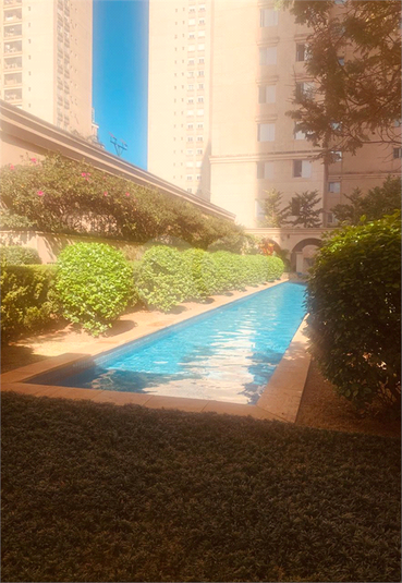 Foto REO1100843