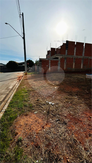 Foto REO1100871
