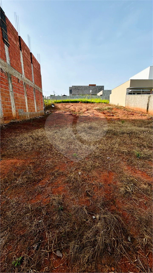 Foto REO1100871