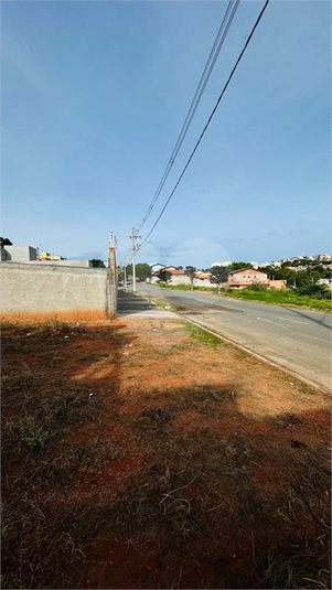 Foto REO1100871