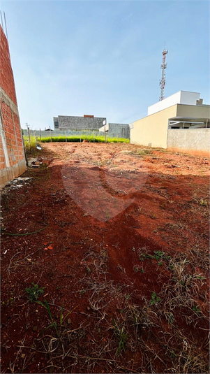 Foto REO1100871