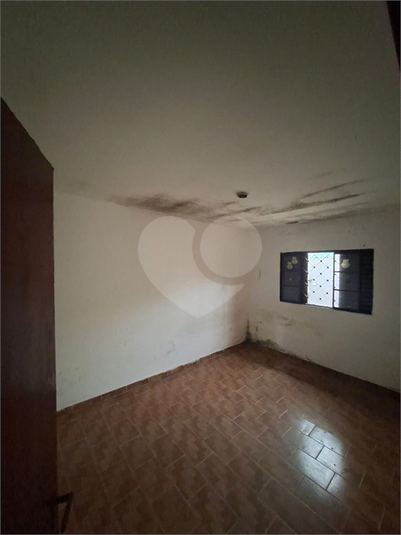 Foto REO1100961