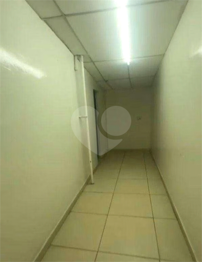 Foto REO1100971